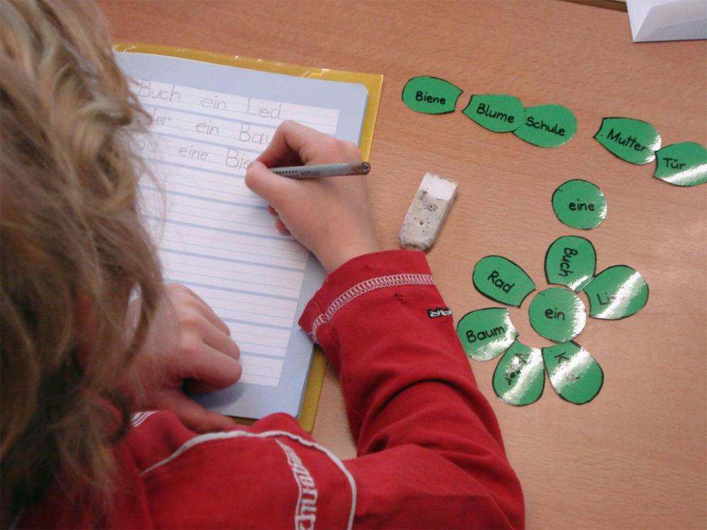 Elementarpädagogik mit Fokus erweiterter Schuleingang