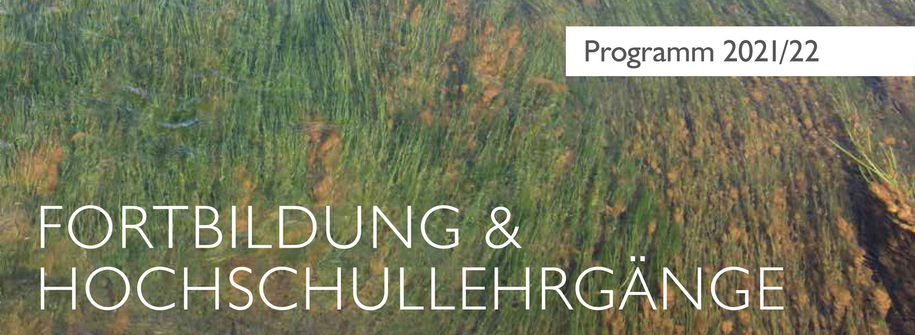 Anmeldung-Fortbildung-Hochschullehrgänge